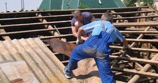 Демонтаж крыши в Спасске-Дальнем - стоимость работ от 720 рублей за м2